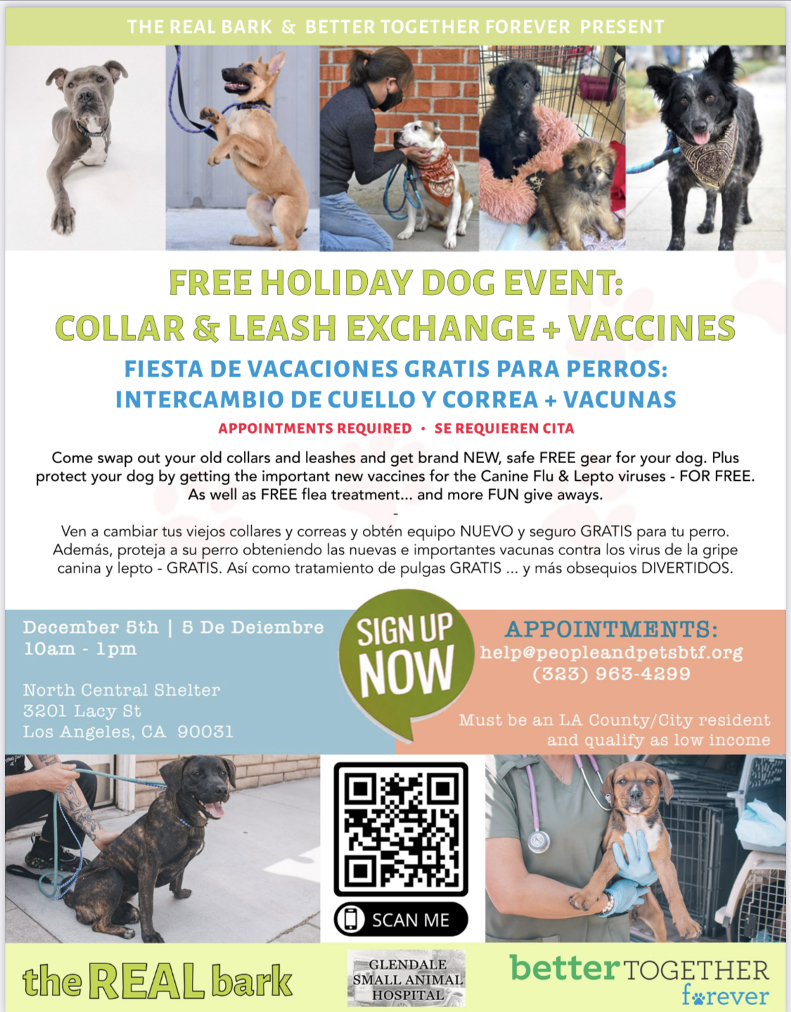 FREE Holiday Dog Event: Collar and Leash Exchange + Vaccines –  betterTogether Forever